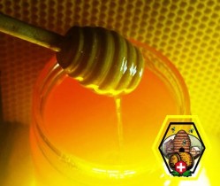 Honig_Schweizer_Bienenhonig_geschuetzt_kleiner