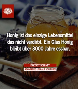 Honig_ist_das_einziege_Lebensmittel_das_nie_verdierbt