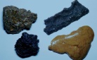 Propolis